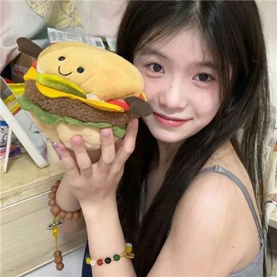 火神之天启之子